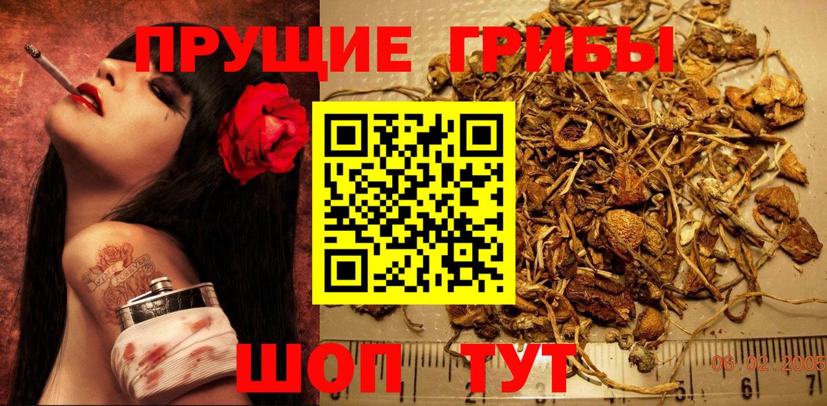 наркота  Псилоцибиновые грибы прущие грибы  Вход с VPN  Лангепас  Псилоцибиновые грибы Cubensis 